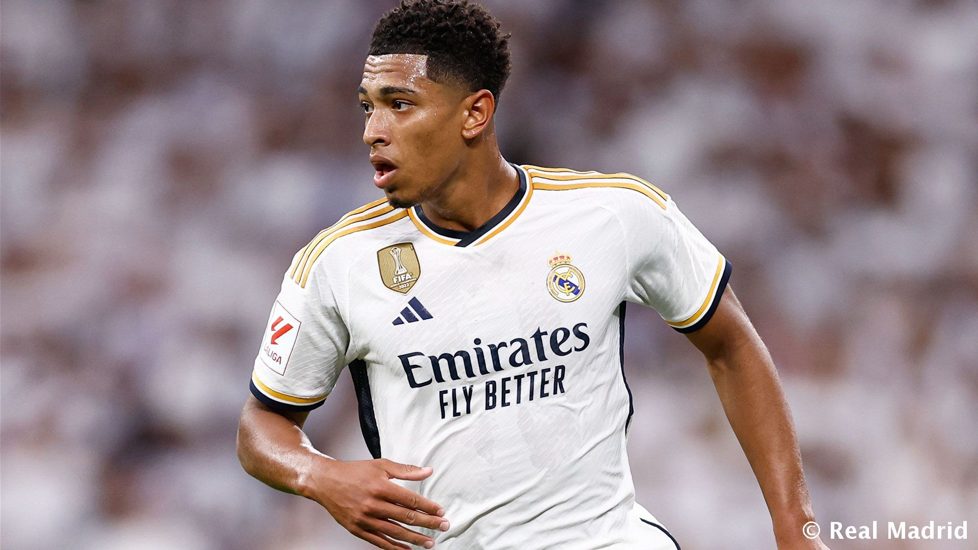 2025摩洛哥非洲杯吉祥物揭晓，“ASSAD”灵感来自北非狮（2025年摩洛哥非洲杯公布吉祥物“ASSAD”，灵感源自北非狮）