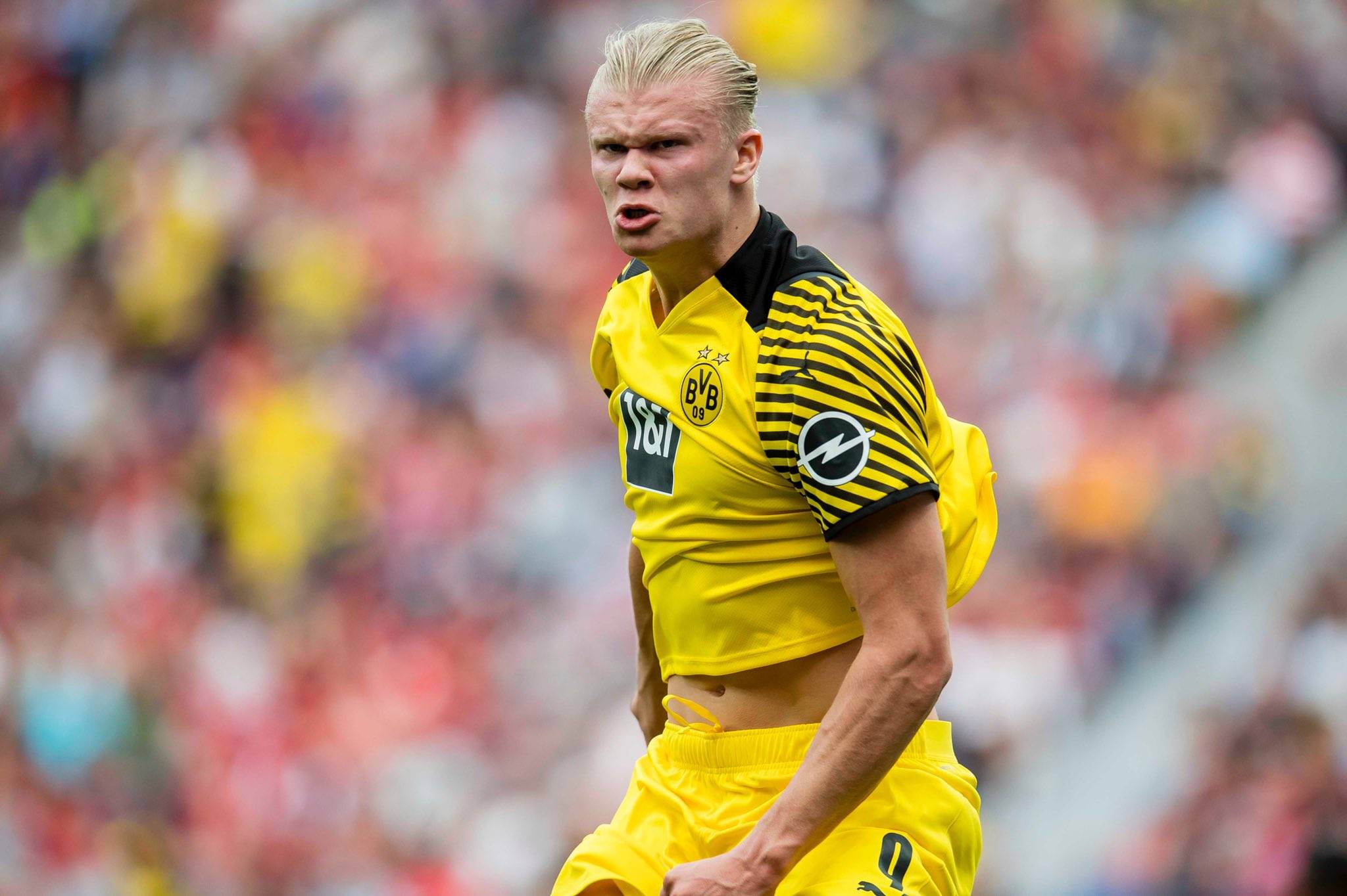 文班本赛季出战12场马刺8胜4负，缺席12场马刺9胜3负（文班在与不在：出战12场8胜4负，缺席12场马刺9胜3负）